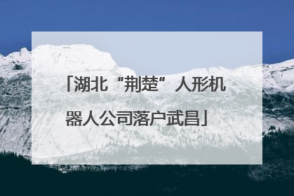 湖北“荆楚”人形机器人公司落户武昌