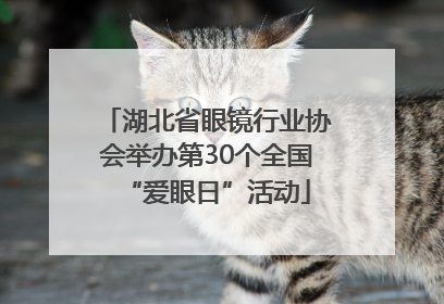 湖北省眼镜行业协会举办第30个全国“爱眼日”活动
