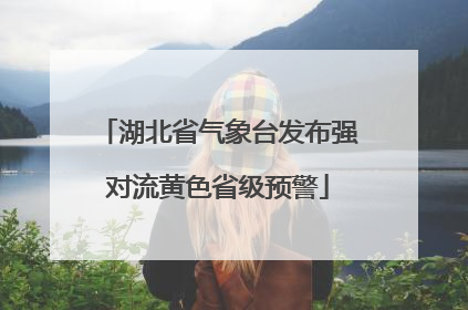 湖北省气象台发布强对流黄色省级预警