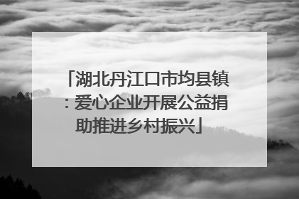 湖北丹江口市均县镇：爱心企业开展公益捐助推进乡村振兴