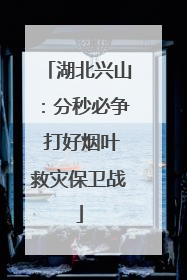 湖北兴山：分秒必争 打好烟叶救灾保卫战