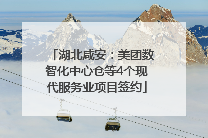 湖北咸安：美团数智化中心仓等4个现代服务业项目签约