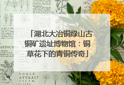 湖北大冶铜绿山古铜矿遗址博物馆：铜草花下的青铜传奇