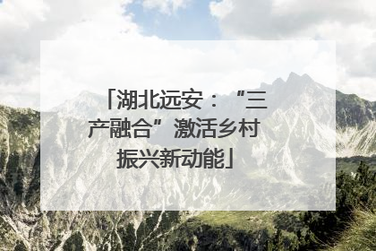 湖北远安：“三产融合”激活乡村振兴新动能