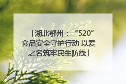 湖北鄂州：“520”食品安全守护行动 以爱之名筑牢民生防线
