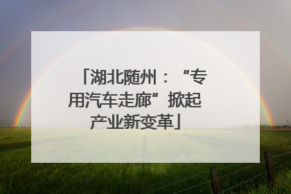 湖北随州：“专用汽车走廊”掀起产业新变革