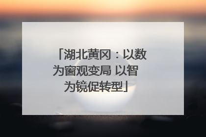 湖北黄冈：以数为窗观变局 以智为镜促转型