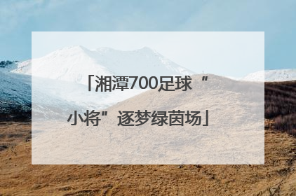 湘潭700足球“小将”逐梦绿茵场