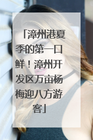 漳州港夏季的第一口鲜！漳州开发区万亩杨梅迎八方游客