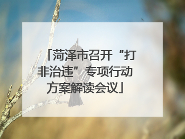 菏泽市召开“打非治违”专项行动方案解读会议
