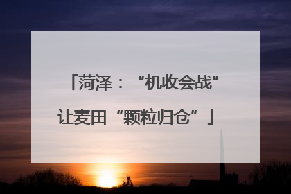菏泽：“机收会战”让麦田“颗粒归仓”