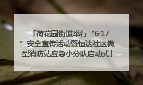 荷花园街道举行“6·17”安全宣传活动暨恒达社区微型消防站应急小分队启动式