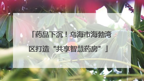 药品下沉！乌海市海勃湾区打造“共享智慧药房”