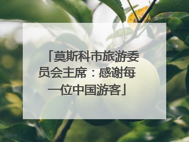 莫斯科市旅游委员会主席：感谢每一位中国游客