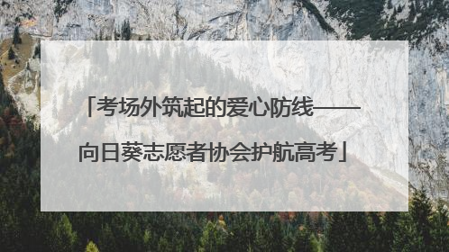考场外筑起的爱心防线——向日葵志愿者协会护航高考