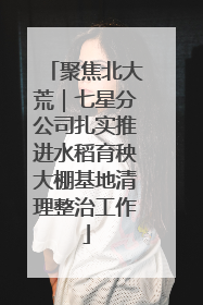 聚焦北大荒｜七星分公司扎实推进水稻育秧大棚基地清理整治工作