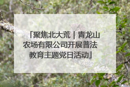 聚焦北大荒｜青龙山农场有限公司开展普法教育主题党日活动