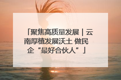 聚焦高质量发展｜云南厚植发展沃土 做民企“最好合伙人”