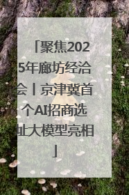 聚焦2025年廊坊经洽会丨京津冀首个AI招商选址大模型亮相