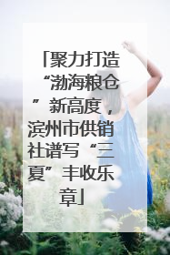 聚力打造“渤海粮仓”新高度，滨州市供销社谱写“三夏”丰收乐章