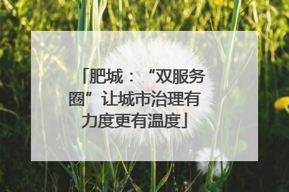 肥城：“双服务圈”让城市治理有力度更有温度