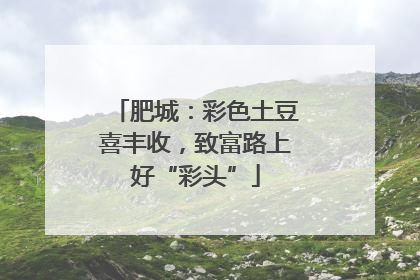 肥城：彩色土豆喜丰收，致富路上好“彩头”