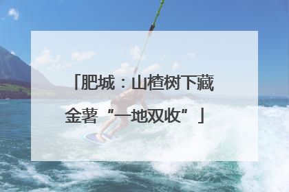 肥城：山楂树下藏金薯“一地双收”