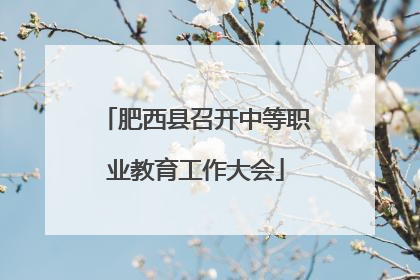肥西县召开中等职业教育工作大会