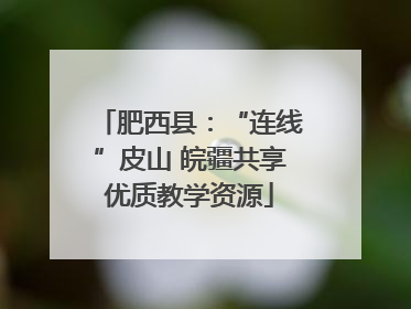 肥西县：“连线”皮山 皖疆共享优质教学资源