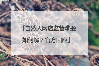 自然人网店监管难题如何解？官方回应