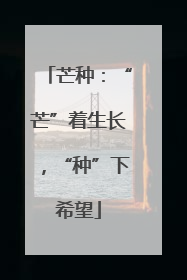 芒种：“芒”着生长，“种”下希望