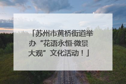 苏州市黄桥街道举办“花语永恒·微景大观”文化活动！