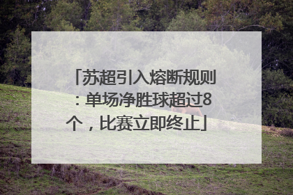 苏超引入熔断规则：单场净胜球超过8个，比赛立即终止