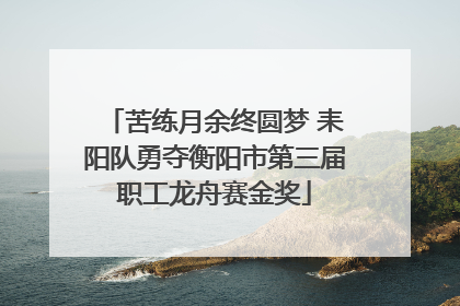 苦练月余终圆梦 耒阳队勇夺衡阳市第三届职工龙舟赛金奖