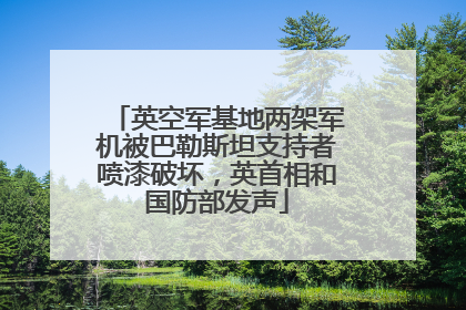 英空军基地两架军机被巴勒斯坦支持者喷漆破坏，英首相和国防部发声