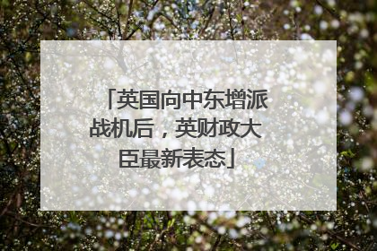英国向中东增派战机后，英财政大臣最新表态