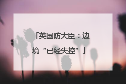 英国防大臣：边境“已经失控”