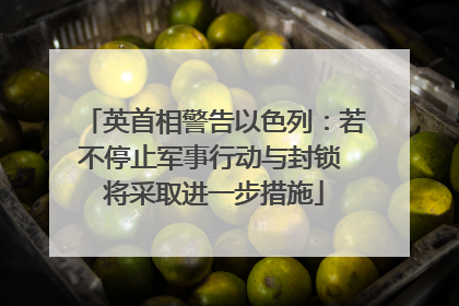 英首相警告以色列：若不停止军事行动与封锁 将采取进一步措施
