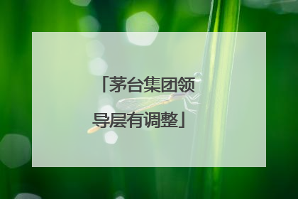 茅台集团领导层有调整
