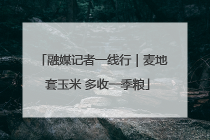 融媒记者一线行｜麦地套玉米 多收一季粮