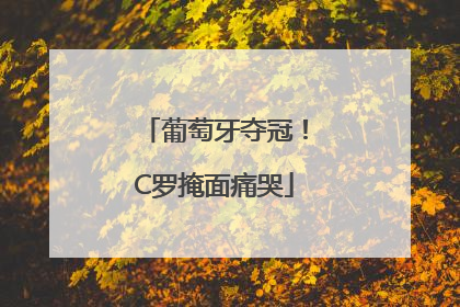 葡萄牙夺冠！C罗掩面痛哭