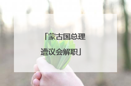 蒙古国总理遭议会解职