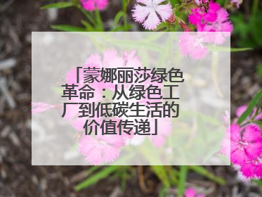蒙娜丽莎绿色革命：从绿色工厂到低碳生活的价值传递