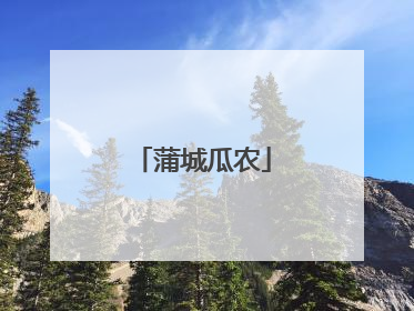 蒲城瓜农