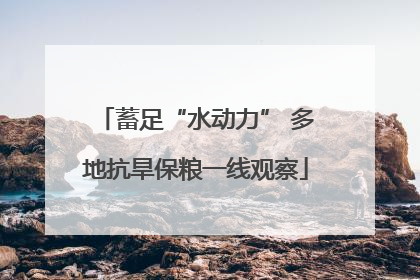 蓄足“水动力” 多地抗旱保粮一线观察