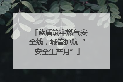 蓝盾筑牢燃气安全线，城管护航“安全生产月”