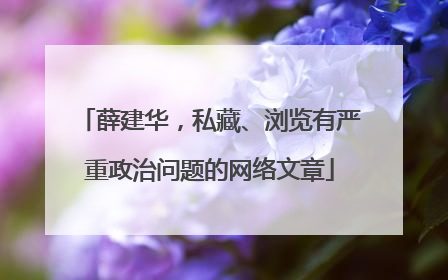 薛建华，私藏、浏览有严重政治问题的网络文章