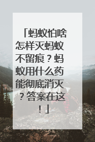 蚂蚁怕啥怎样灭蚂蚁不留痕？蚂蚁用什么药能彻底消灭？答案在这！
