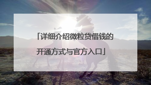 详细介绍微粒贷借钱的开通方式与官方入口