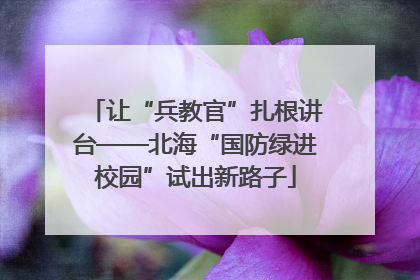 让“兵教官”扎根讲台——北海“国防绿进校园”试出新路子